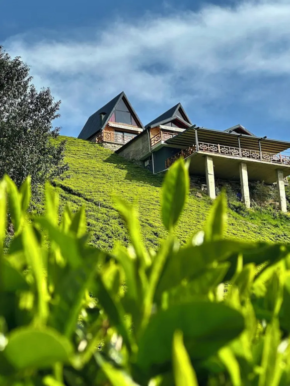 Celazeni̇ Bungalov
