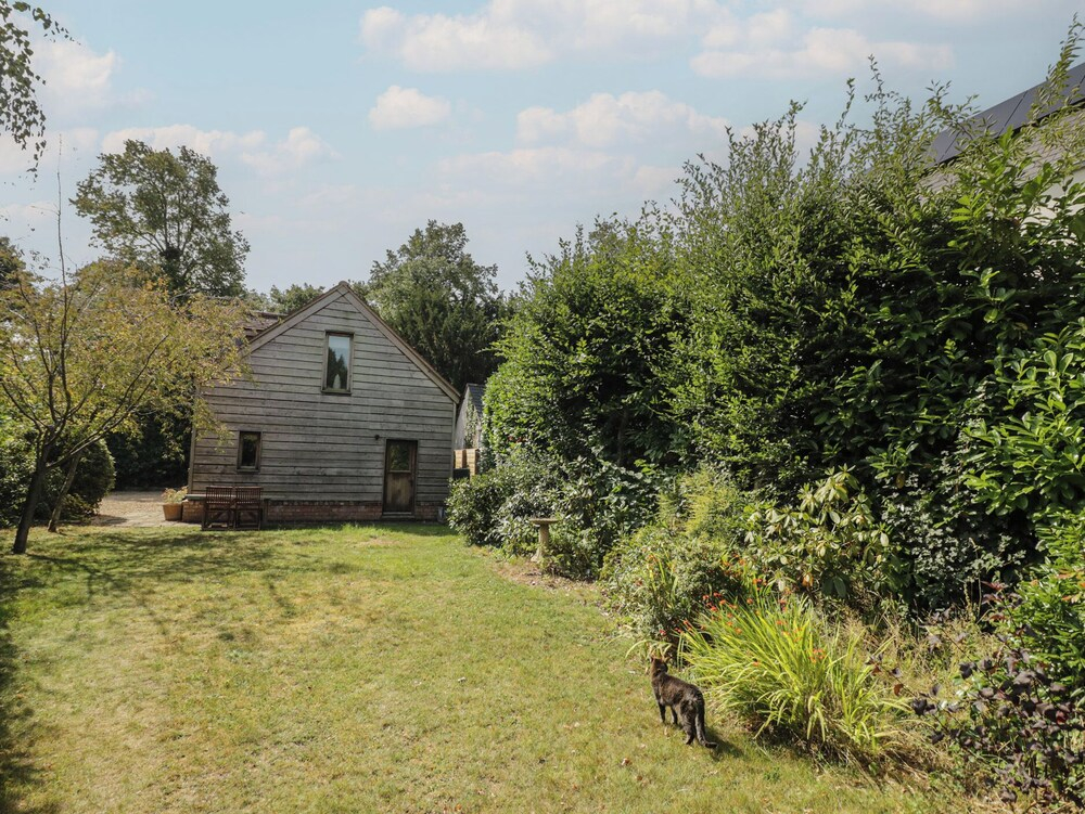 The Shed
