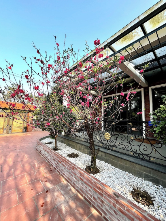 Jadore Garden House Vinh Yen
