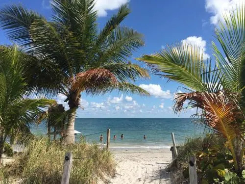 Beach Haus Key Biscayne Contemporary Apartments