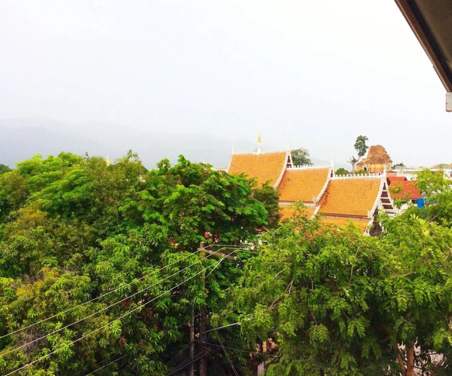 Mint House - Hostel