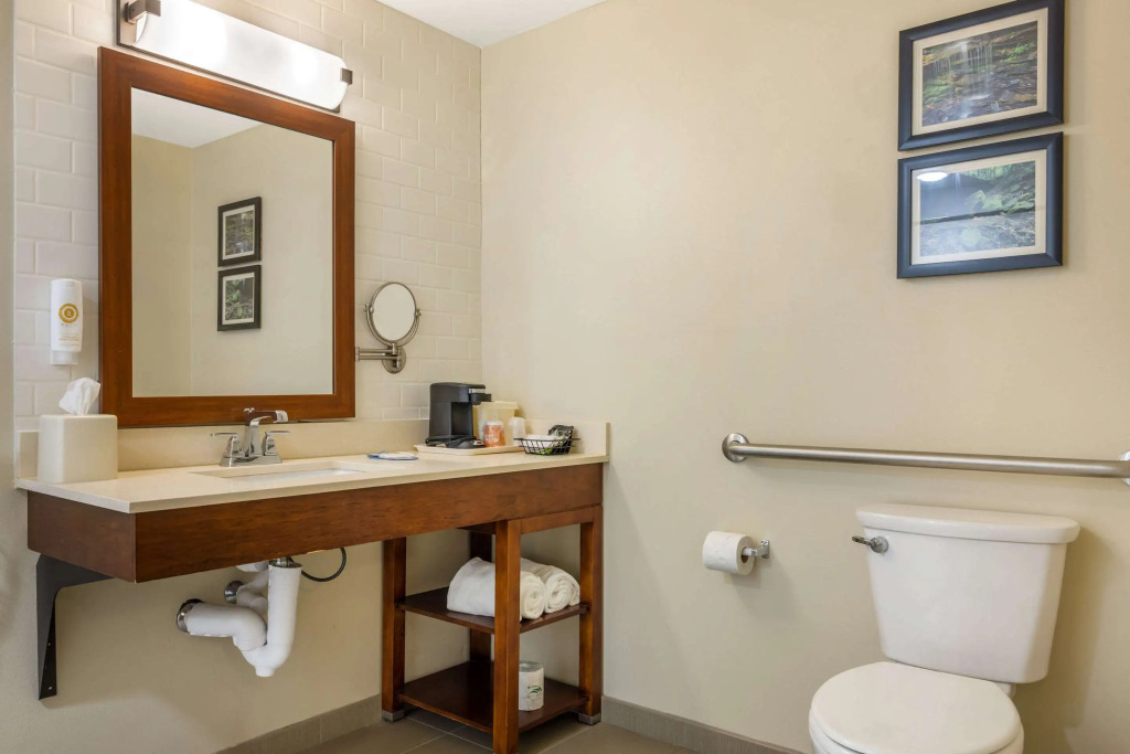 Comfort Inn & Suites At CrossPlex Village