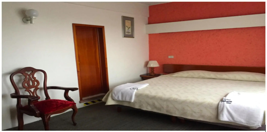 Hotel Palacio