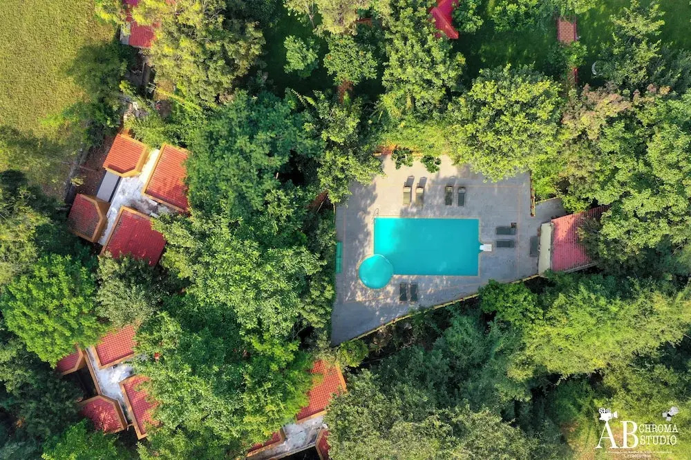 Tiger King Resort