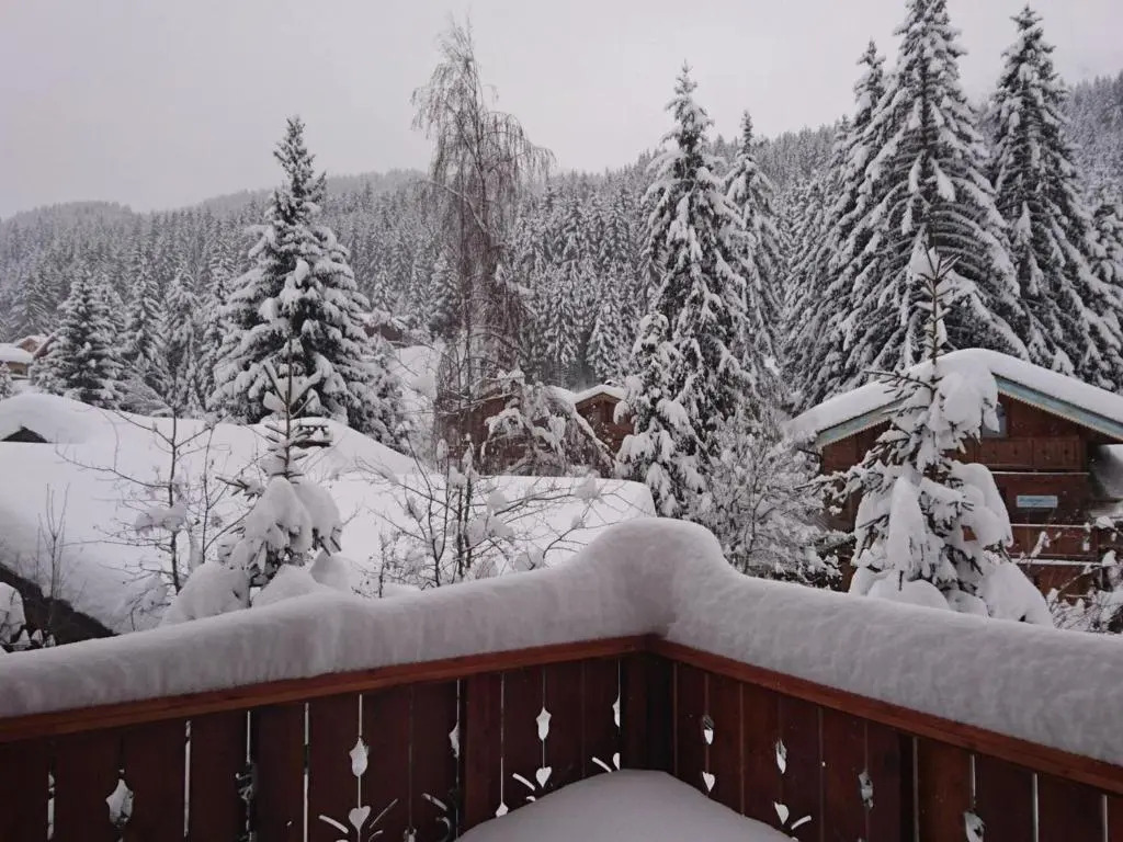 Chalet La Tania, 4 pièces, 13 personnes - FR-1-513-45