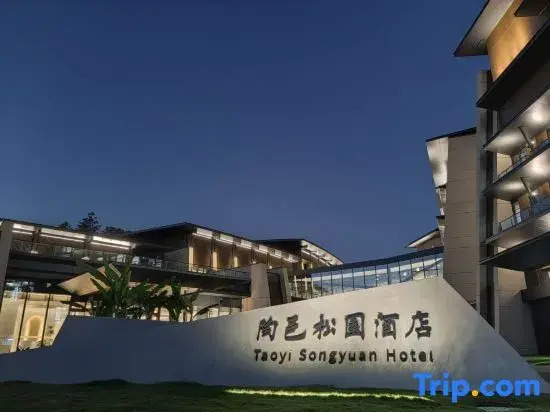 Taoyi Songyuan Hotel