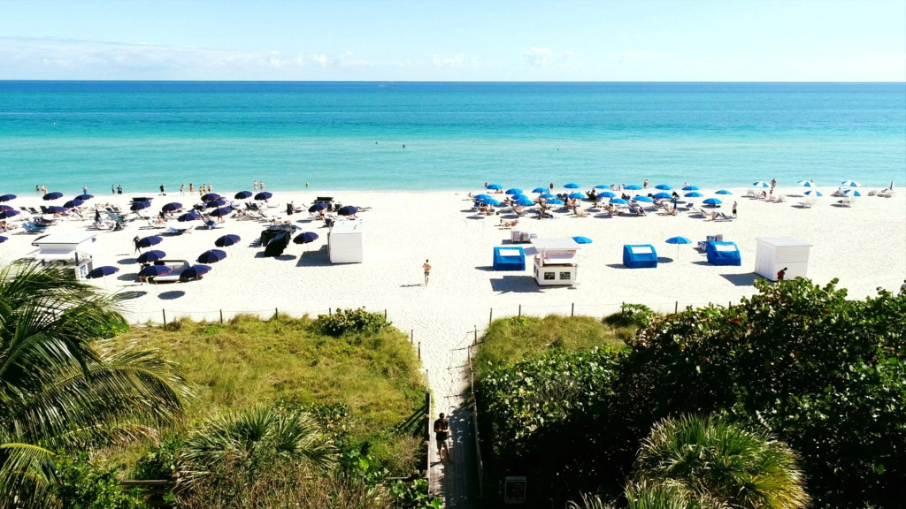 Отель Circa 39 Miami Beach by IHG