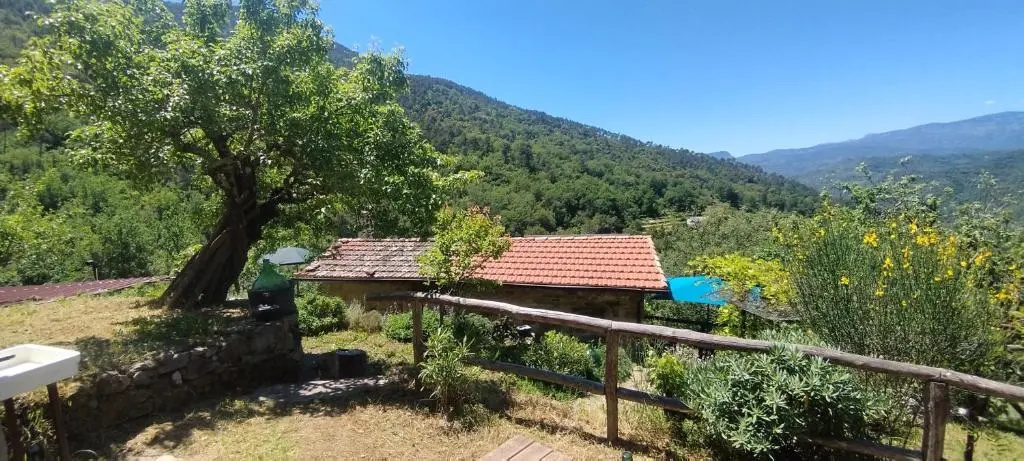 CASA LUCERTOLA