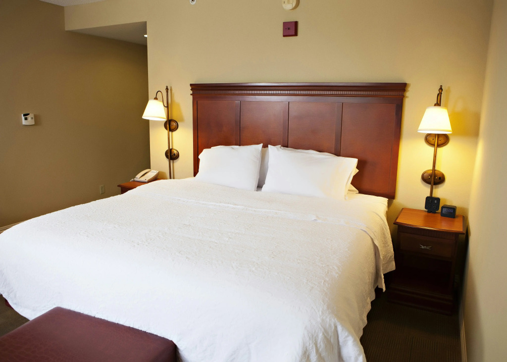 Hampton Inn Martin