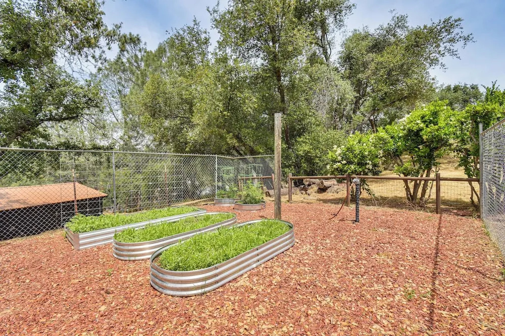 Yosemite Wellbeing Retreat on 5 Acres w/ Mtn Views