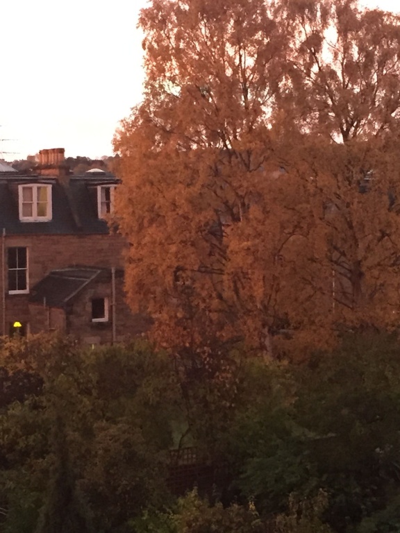 Ashdene House