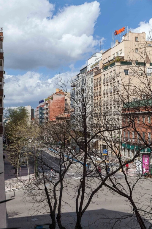 Alto Standing Calle Velázquez 1B