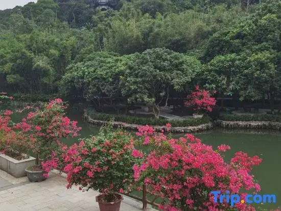 Sandiequan Resort Health Care Center (Chimelong Tourist Resort)