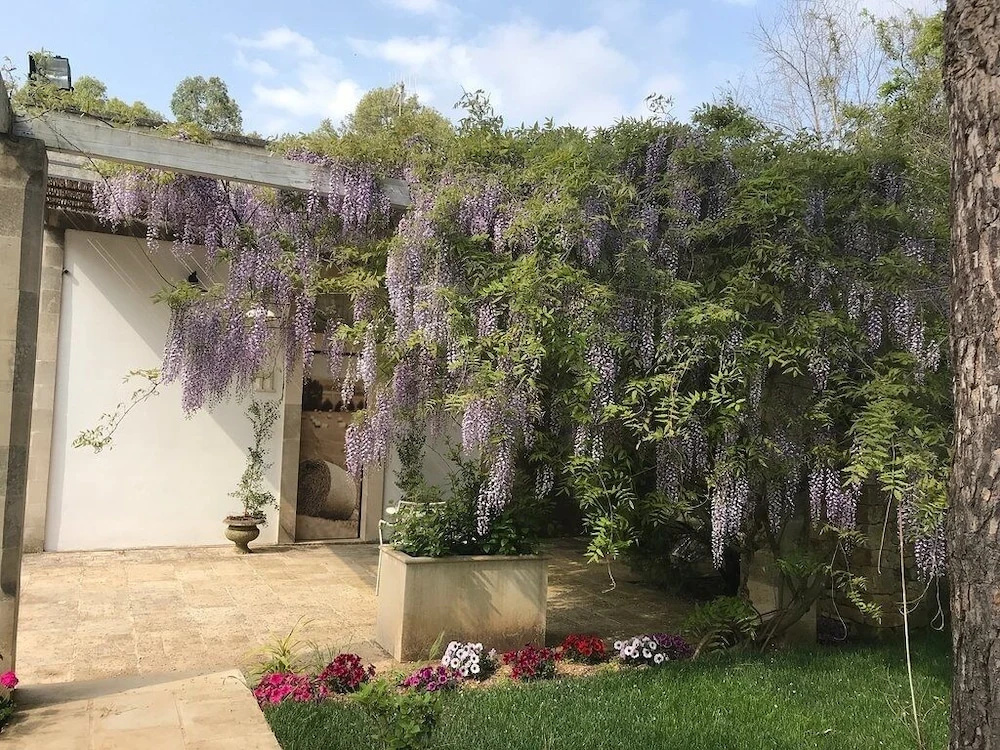 Tenuta Sidore