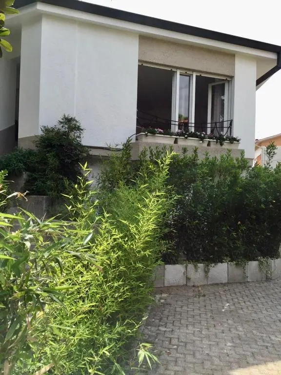 meschihouse - Sabbiadoro house