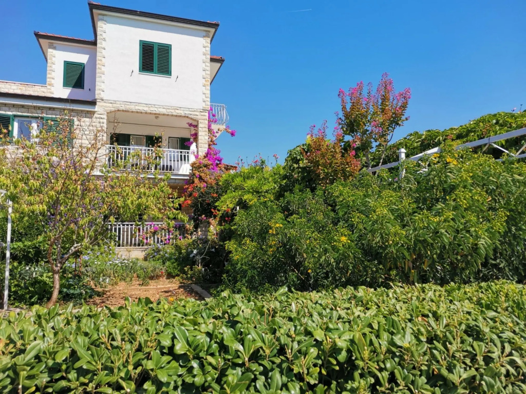 Srđan - 10 m From the Beach - A3
