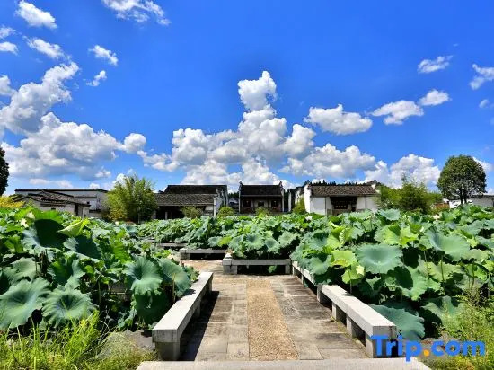 Huangshan Tanjia Courtyard Boutique Homestay (North Gate, Huangshan District)