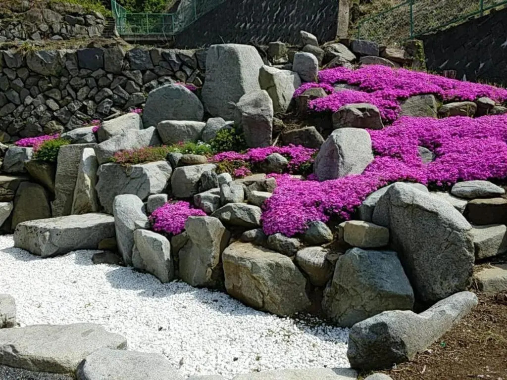 Siawase no yado - Vacation STAY 68283v