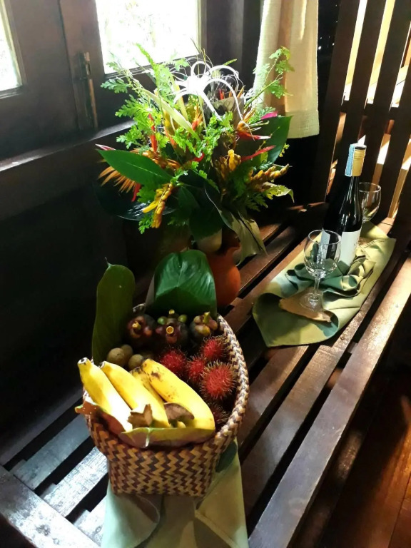 Our Jungle House