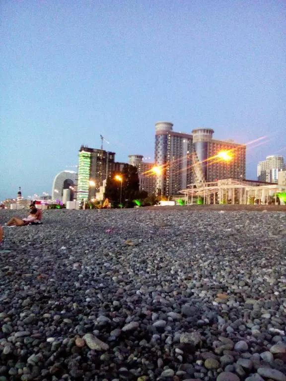 Inasaridze, 2-room flat, beach