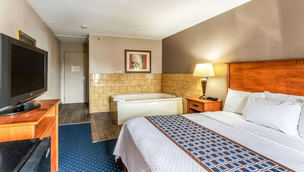 Park Inn by Radisson, Detroit Metro Airport