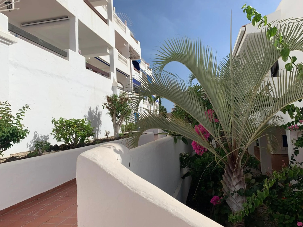 Sunny Tenerife, Los Cristianos, Studio