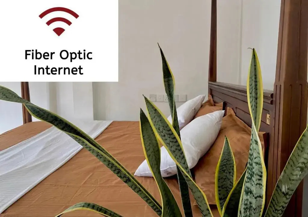 Sasmika Villa Surf and Yoga Hostel