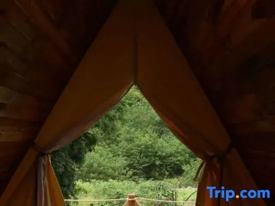 Mimosa Backpackers Hostel