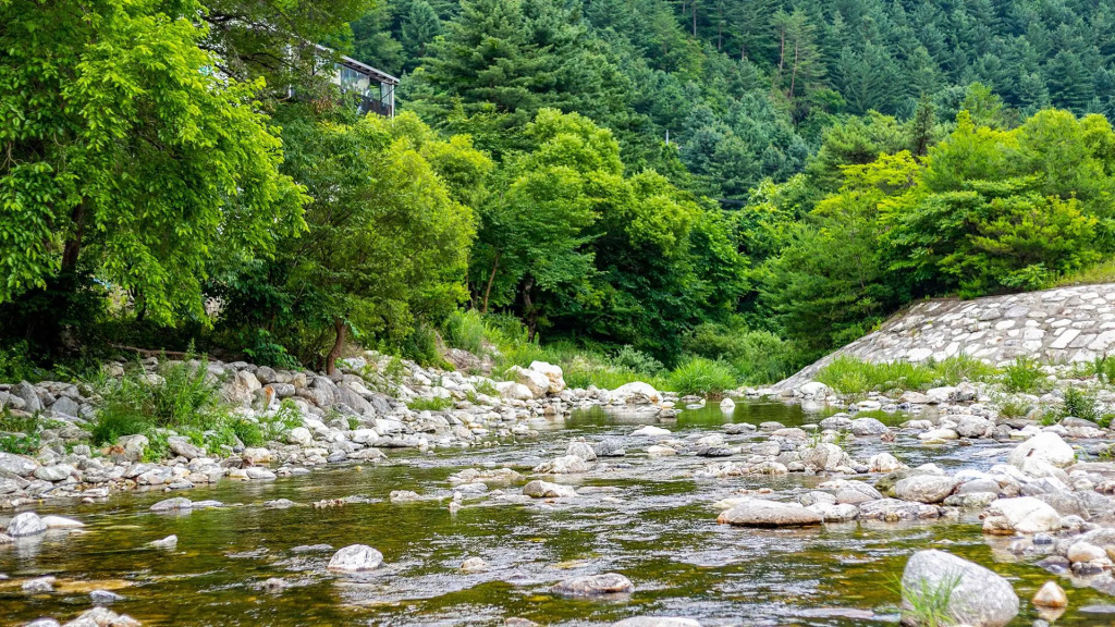 Gapyeong Cherrish Pension