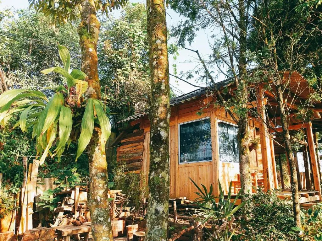 Sapa Jungle Homestay
