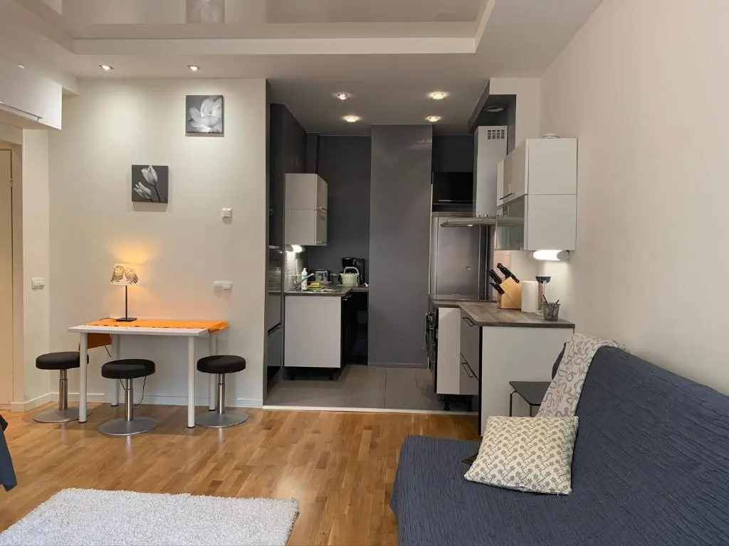 Big studio close to center with WiFi