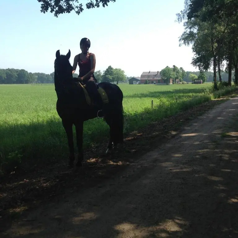 B&B De Handwijzer Hengelo