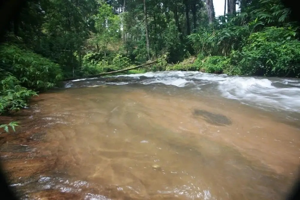 Wild Elephant Eco-Friendly Resort