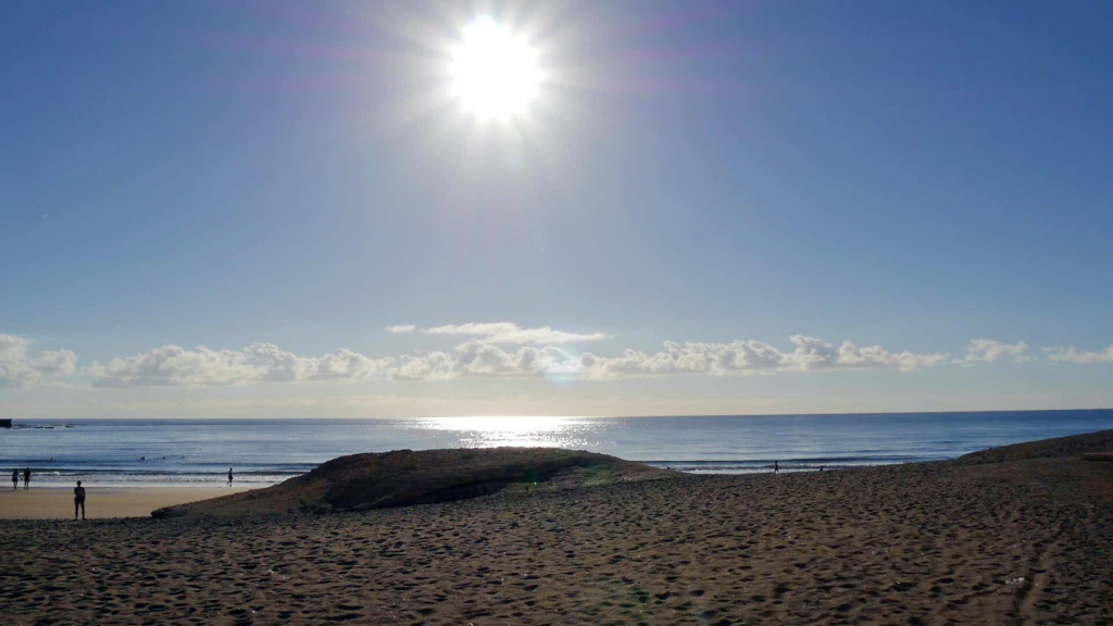 Отель Playa Sur Tenerife