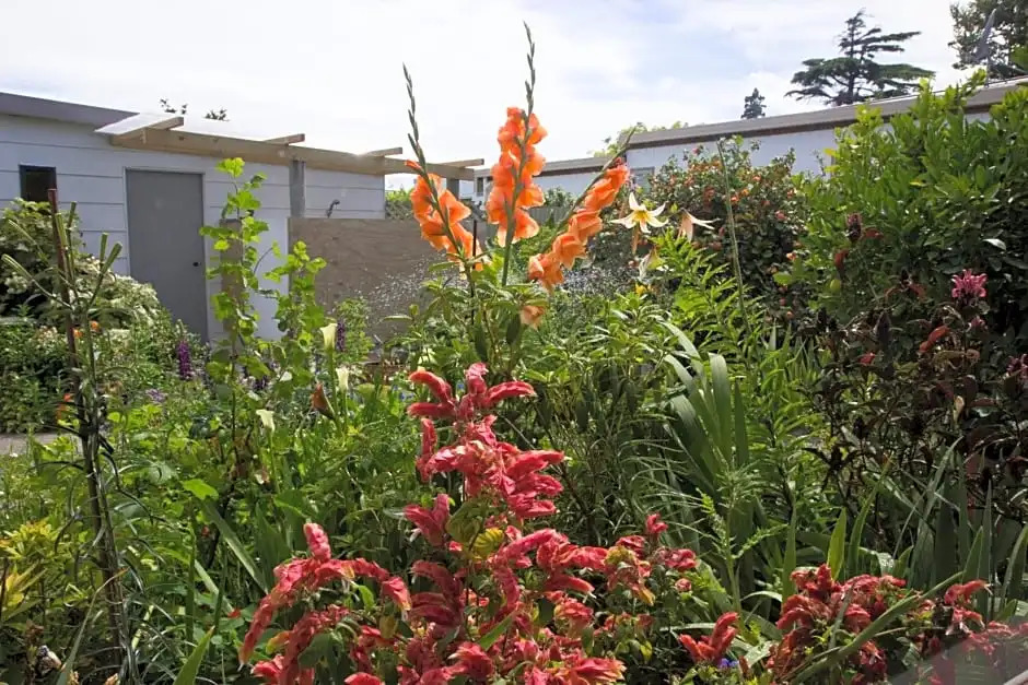 Magnolia House