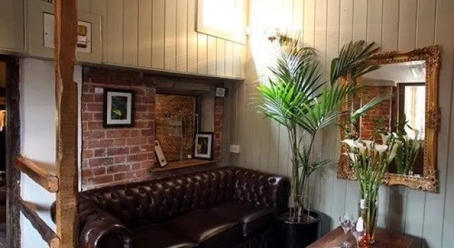 The Ingham Swan