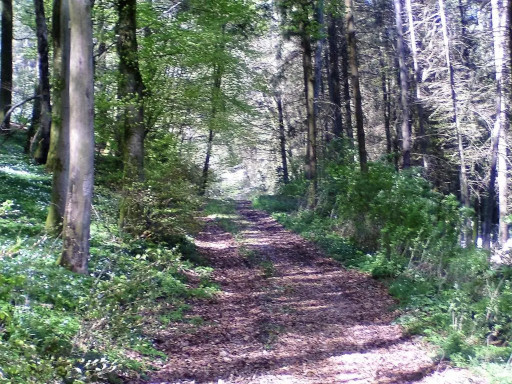 Landferien Eifel
