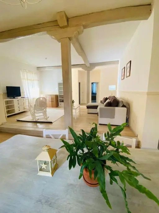 Family Apartment