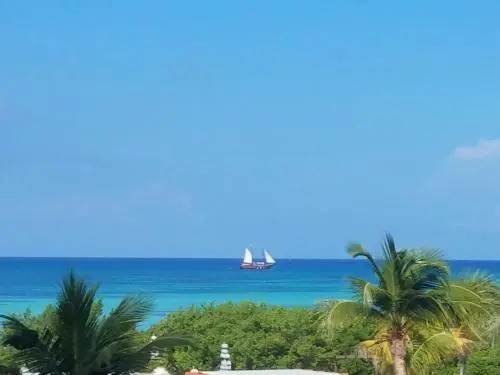 Palm Beach Paradise