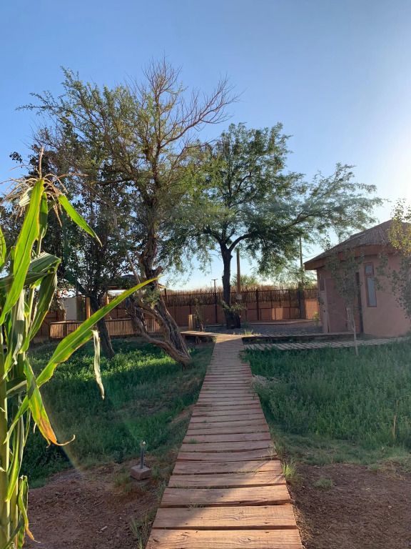Sami Atacama