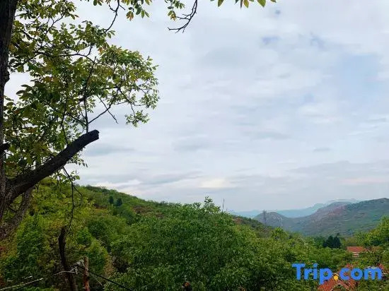 Floral Hotel · Taishan Heju Hotel