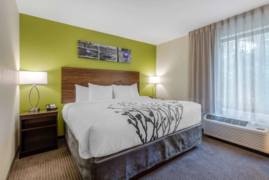 Comfort Inn St Louis Airport