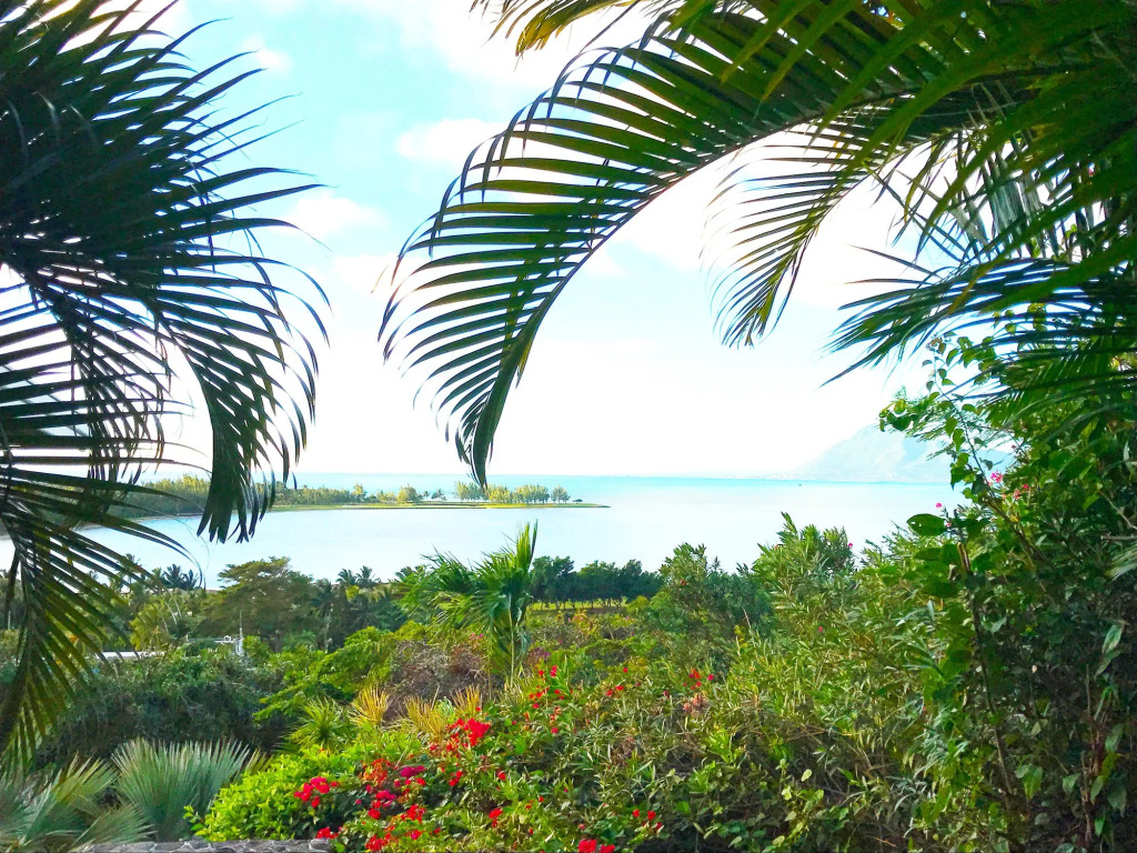 Kozy Le Morne