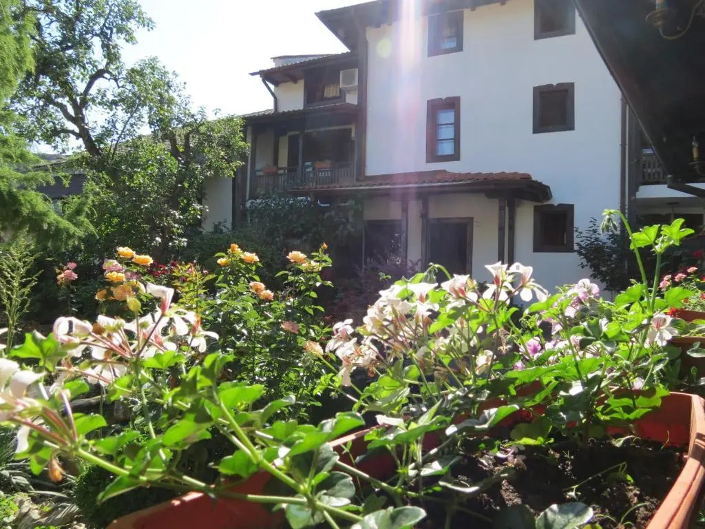 Oazis Guesthouse