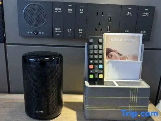 Homeinn Plus Hotel (Shenzhen Shiyan Subway Station)