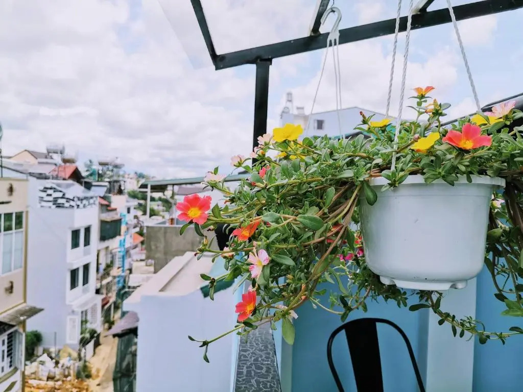 Dalat Che House