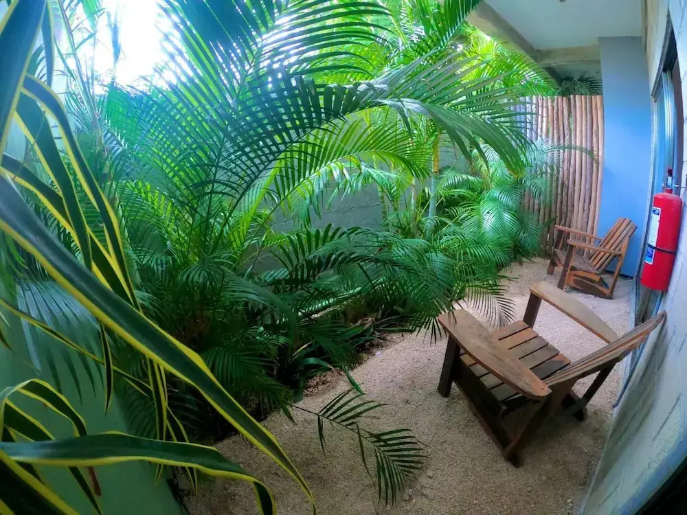 Jungle Lofts in Tulum Centre Rooftop Patio Pool M3