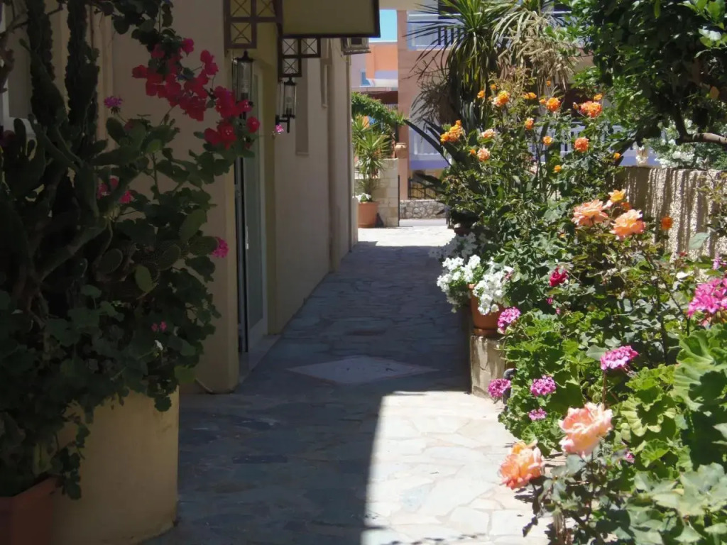 Angelica Studios and Apartments