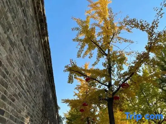 Yunqi Liuyi Homestay (Qufu's Temple and Cemetery of Confucius and Kong Family Mansion)