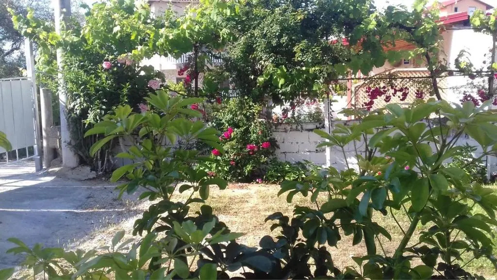 Villa 355